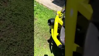 $40 Ebay special can am slip on exhaust #canam #xmr #renegade #diy