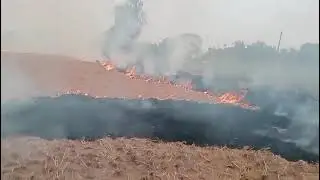 ਕਿਸਾਨ ਭਰਾਓ ਪਰਾਲੀ ਆਗ ਨਾ ਲਾਗਾਓ, Don&rsquo;t burn paddy stubble, save environment save punjab 