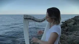 Englishman  in New York ( harp cover)