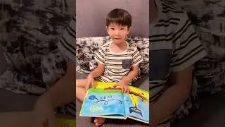 English Reading: Pete the Cat and his Four Groovy Buttons 