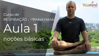 CURSO DE RESPIRAÇÃO. AULA 1: NOÇÕES BÁSICAS