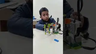 Lego Insect Moving Device