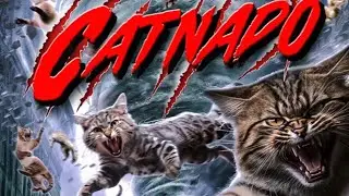 Catnado: Movie Review (Wild Eye Releasing)