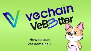 How to use vet.domains on VeChain?
