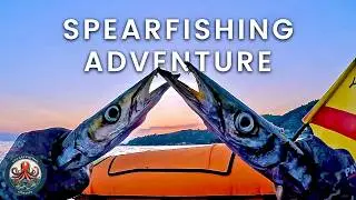 🔱 From Barracudas to Amberjacks… | A Thrilling 3-Day Spearfishing Adventure 🐟