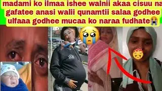 Ilmaa😭😭 arabaa walini walii qunamtii gochuko hini gabuu garuu ulfaaa tauu ko bayee gadaa