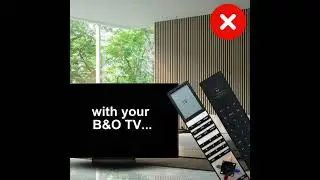 Neo Convert - get a TV controlled by a B&O remote control - Beo4 or Beoremote One