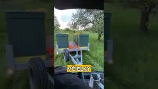 Kočovanie časť prv&aacute; 🐝 #včel&aacute;rstvo #včely
