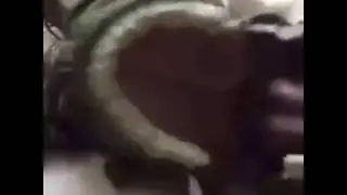 cocaine dinosaur vine Do you want some cocaine