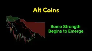Alt Coins: Strength Begins to Emerge
