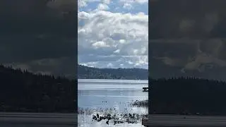 Beach View ( Idylwood beach park ) | #shorts