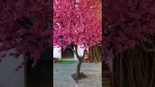#indoordecoration #artificialtree Artificial peach blossom tree customization