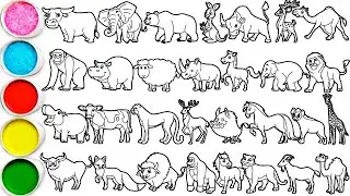 Draw Amazing Animals in 1 hour - Buffalo, Mammoth, Bear, Kangaroo, Bull, Camel, Chimpanzee & others