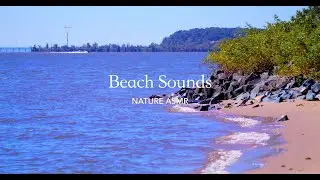 (4K) Beach Waves, Wind, and Cricket Sounds | ASMR | 10 Hours