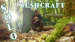 🏕️ Bivouac Bushcraft Solo I tarp I banc I 🍳 boudin aux pommes et le chant des oiseaux : BBN
