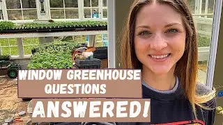 Window Greenhouse Questions ANSWERED!