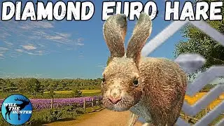 I Found My First Diamond European Hare On Cuatro Colinas | TheHunter Call Of The Wild
