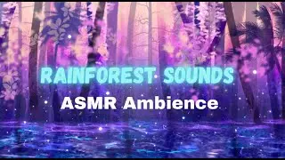 Forest Villa Seuvy - ASMR Ambience (Rain, thunder, footsteps, jungle atmosphere late night)