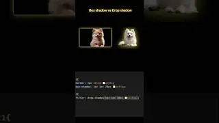 Day 1& Box shadow vs Drop shadow in CSS 