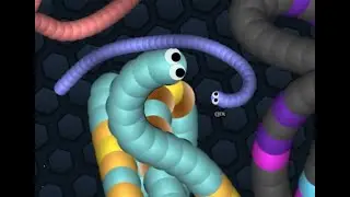 Slither January Highlights :)