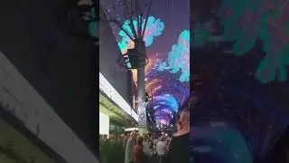 Viva Vision Light Show