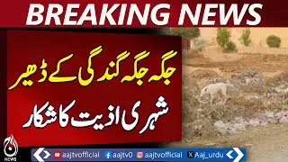Pakpattan Garbage Crisis | Roads Blocked & Health Threats Rise &mdash; Aaj News Breaking