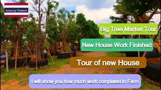 Big Tree Market Tour and Farm house work finished.