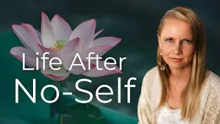 Processing the No Self Shift | Life after Awakening