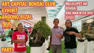 PART1+ART CAPITAL BONSAI CLUB ANGONO RIZAL EXHIBIT
