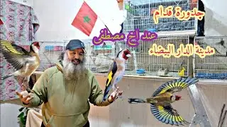 جديد عند اخ مصطفى يوم الاتنين 19\1\2026 جدورة قدام مدينة الدار البيضاء مرحبا بجميع الماليع 🇲🇦✌️