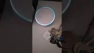 Tile Mate 2020 2 Pack  Bluetooth Tracker, Keys Finder and Item Locator