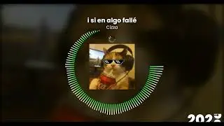 Cizza - i si en algo fall&eacute;