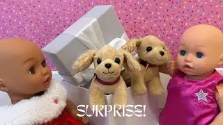 Baby Born Dolls&rsquo; BIG Birthday Surprise!!!