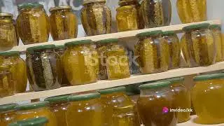How profitable is beekeeping #financial #Beekeeping #profitability #husle #sidehustle #HoneyBusiness