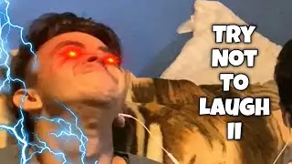 Spinning Mice! | Try Not to Laugh #2