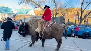 Captured ET 👽 Dog Driving Car 🚘 Bison Cowboy 🤠 Dinosaur Blessings 🙏 New Mexico Christmas!