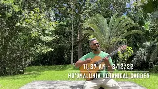 The Stone Block in the Clearing - Nylon String Guitar