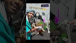 Haddi💀का कुत्ता हुआ?😱😱 #comedy #dog