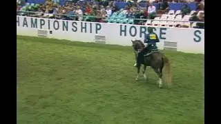1985 U.S. Nationals Arabian Western Pleasure Open