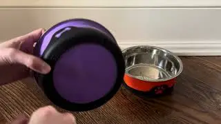 Non-Slip Dog Bowl Review &ndash; Thermocool Keeps It Clean #amazonfinds #dog #dinner #doglife #cool