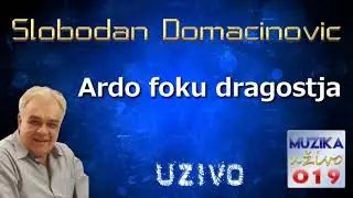 Slobodan Domacinovic - Ardo foku dragostja UZIVO // MuzikaUzivo019