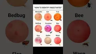 #tweening