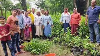 Forest Nursery Durg || Types of Plants  🪴 ||   🪴जाने पेड़ पौधों की किस्में एवं जानकारियां