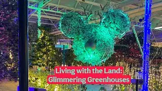 Glimmering Greenhouses✨ Living with the Land in 4K #disney #capcut #disneyholidays #christmas