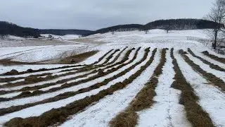 Virtual fencing makes daily cattle chores easy