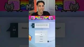 Это Кот 🐈&zwj;⬛🌈