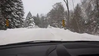 I LOVE JUMPING DEER: THIS VIDEO IS SHORT AND SWEET
