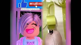 🤣👌👌👌2026 pov Must-Watch Crazy Clips Compilation #humor #fypシ #pov #fyp #foryou 😍😜