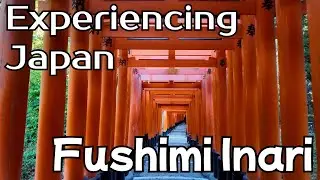 ⛩️ Experiencing Japan | Fushimi Inari Taisha ⛩️A Scenic Walk | Lofi Winter Travel Vibes 🇯🇵 (4K)