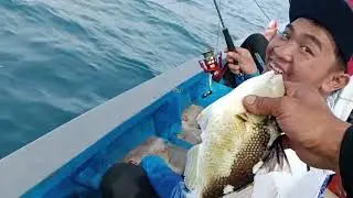 Full ikan tahun baruan.